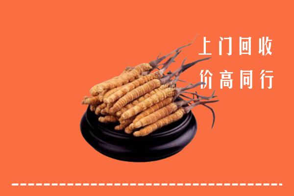 高价求购：海州区回收散虫草
