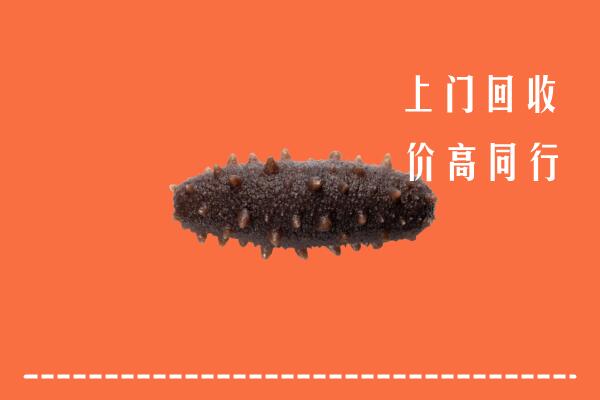 高价求购：海州区回收海参
