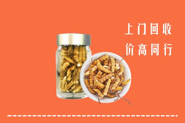 海州区回收冬虫夏草