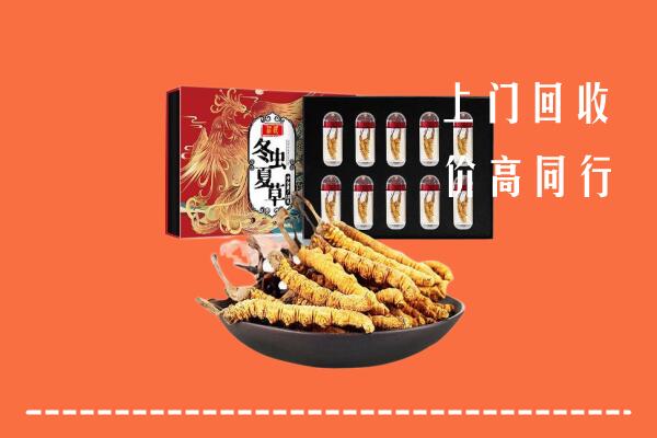海州区回收虫草